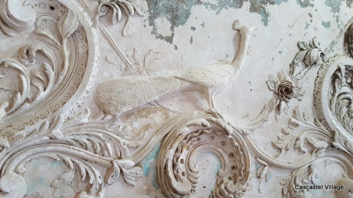 Le paon est revenu au bercail