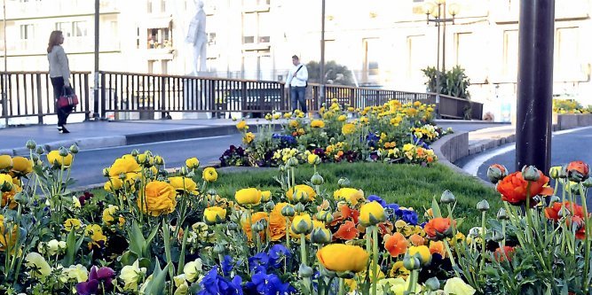 1309585_201_obj8716022-1_667x333