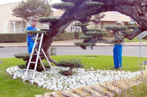 2014-10-03-les-agents-des-espaces-verts-au-travail