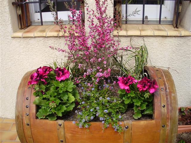 Iris & Giroflées, 2011