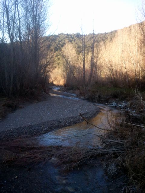 2015-01-06-chemin-pichoulieres-012