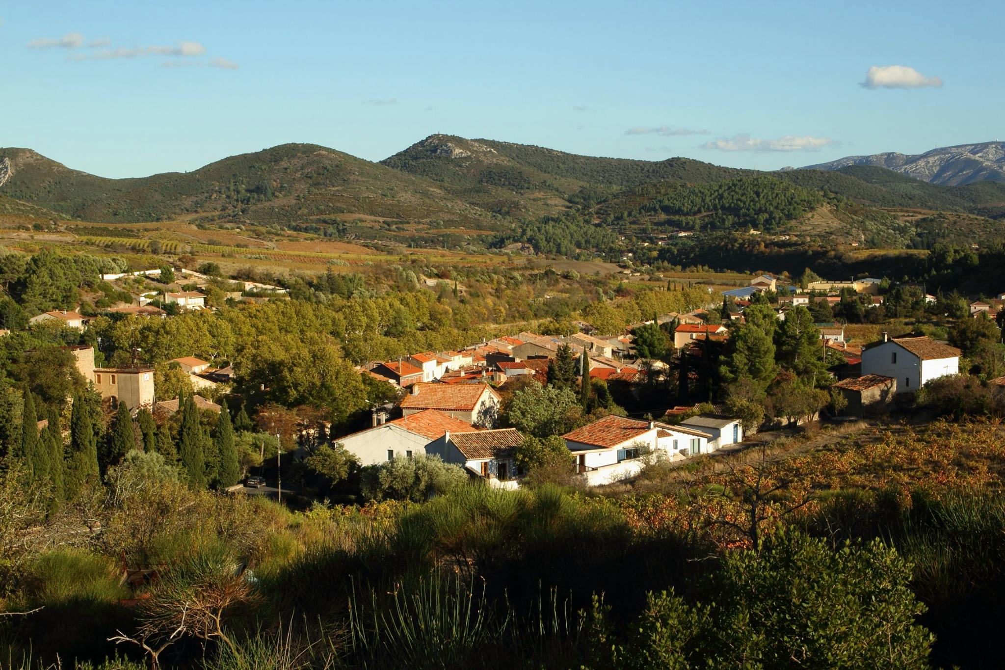 22555510_1984391291848953_4119535522600418643_o