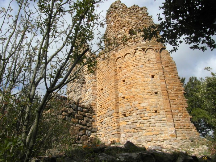 Moliet, Mur principal entouré d'arbres