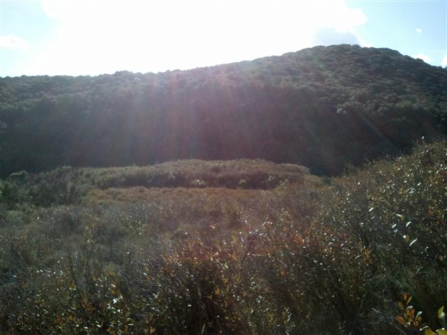 Charlemagne, Ancien chemin d'Albas