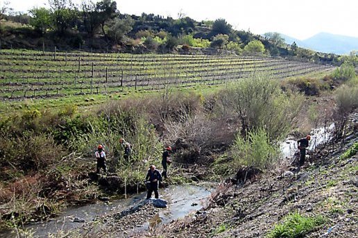 Nettoyage Berre  Mars 2012