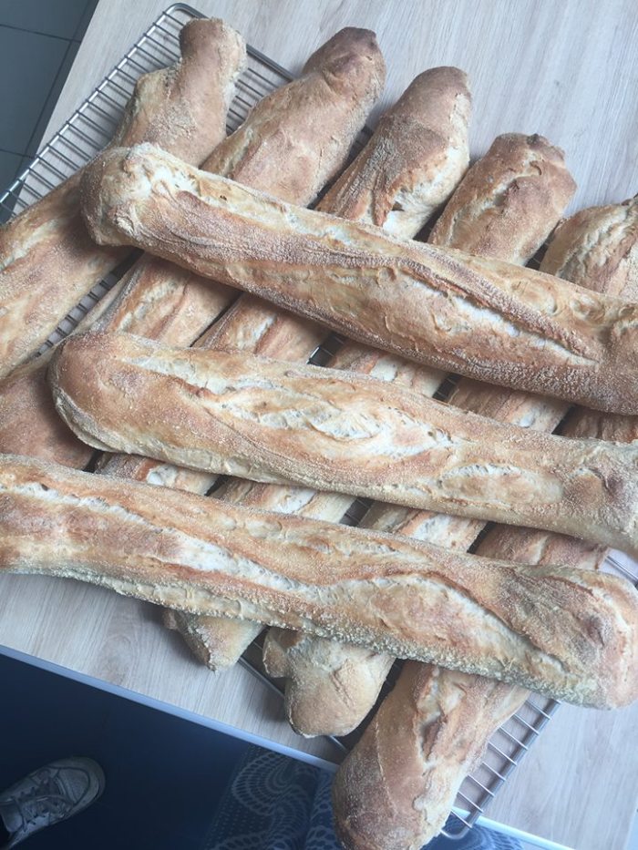 37005685_1724225534300012_4313737591573708800_n