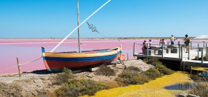 1680-790-camping-barberousse-gruissan-162_1680x790