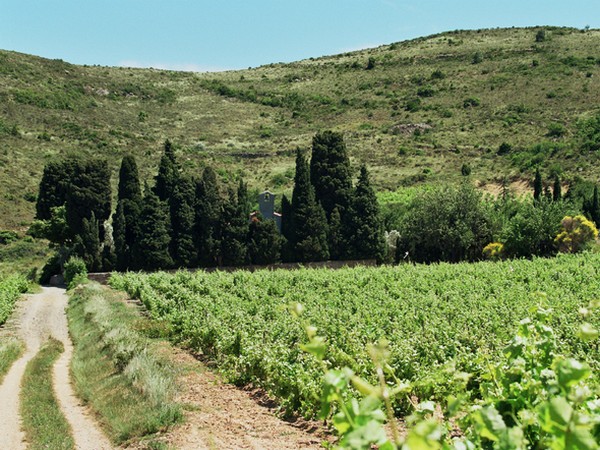 2018-08-08-notre-dame-de-l-olive