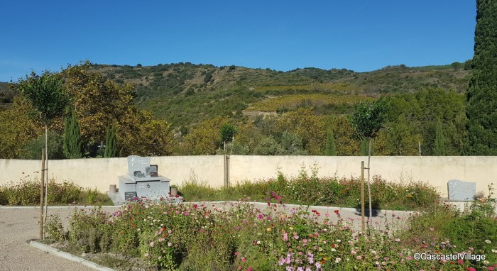 Octobre 2018, les lauriers tige sont arrivés au cimetière neuf