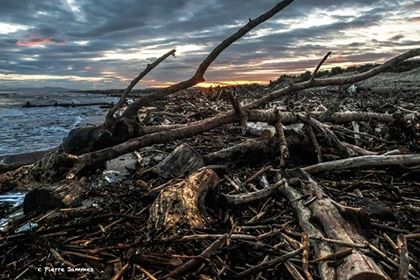 84636198_858164557961247_7042832155881242624_n