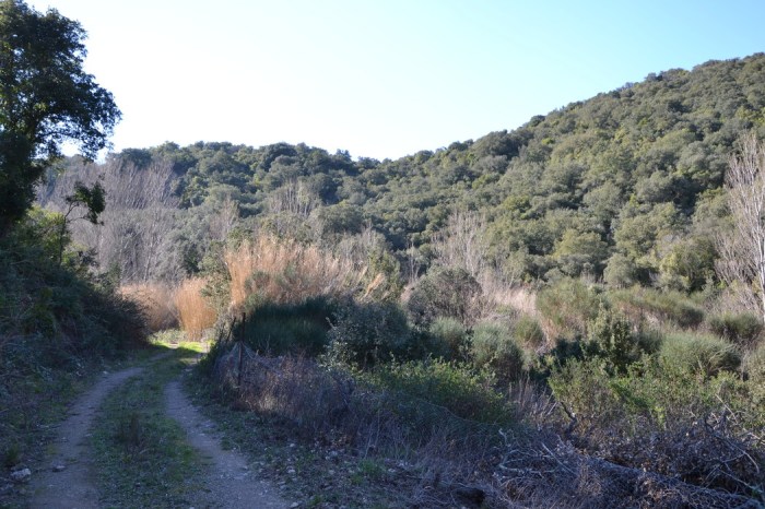 05238850015197507045689