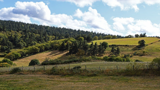 2020-06-08-ferme-bio