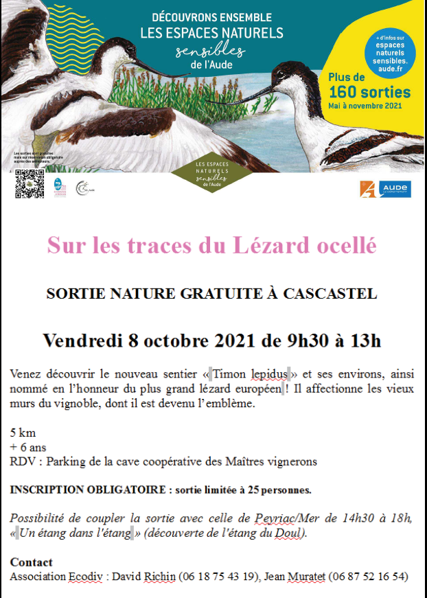 image_2021-10-04_140351