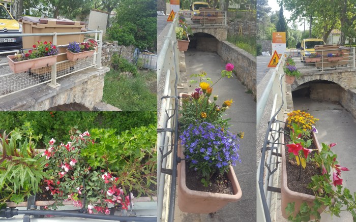 1-3-2022-Aude-Fleurie-001