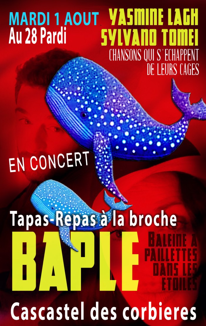 2023-07-25-BASE AFFICHE CONCERT cascastel 2